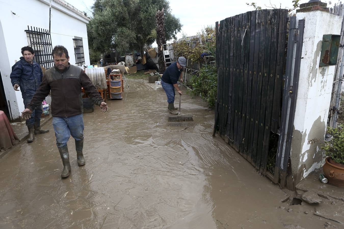 La lluvia inunda las zonas rurales de La Janda