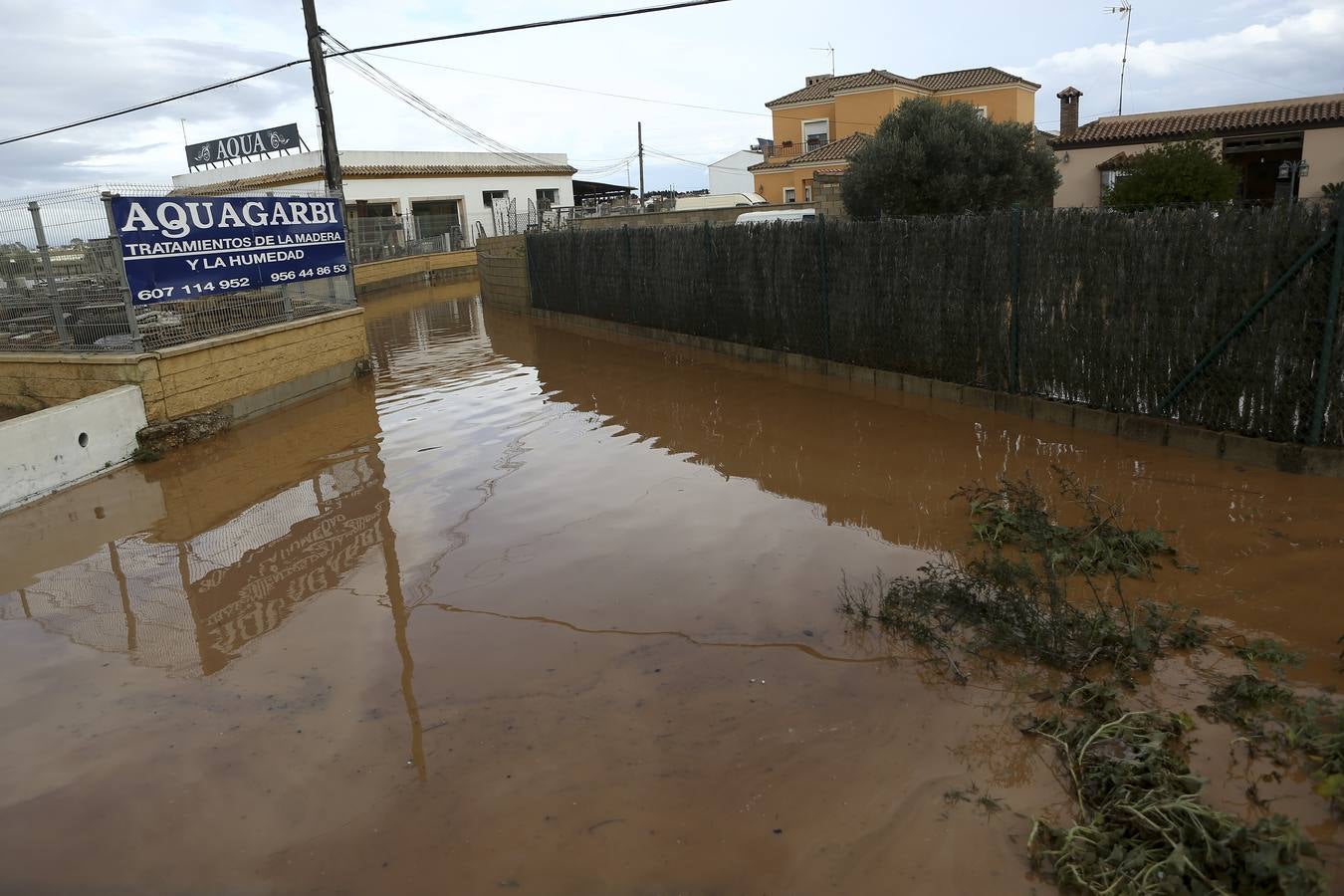 La lluvia inunda las zonas rurales de La Janda