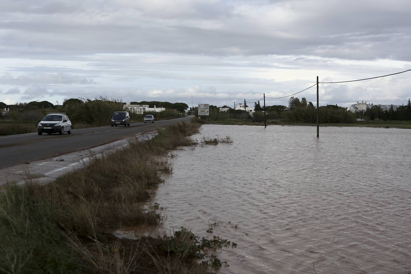 La lluvia inunda las zonas rurales de La Janda