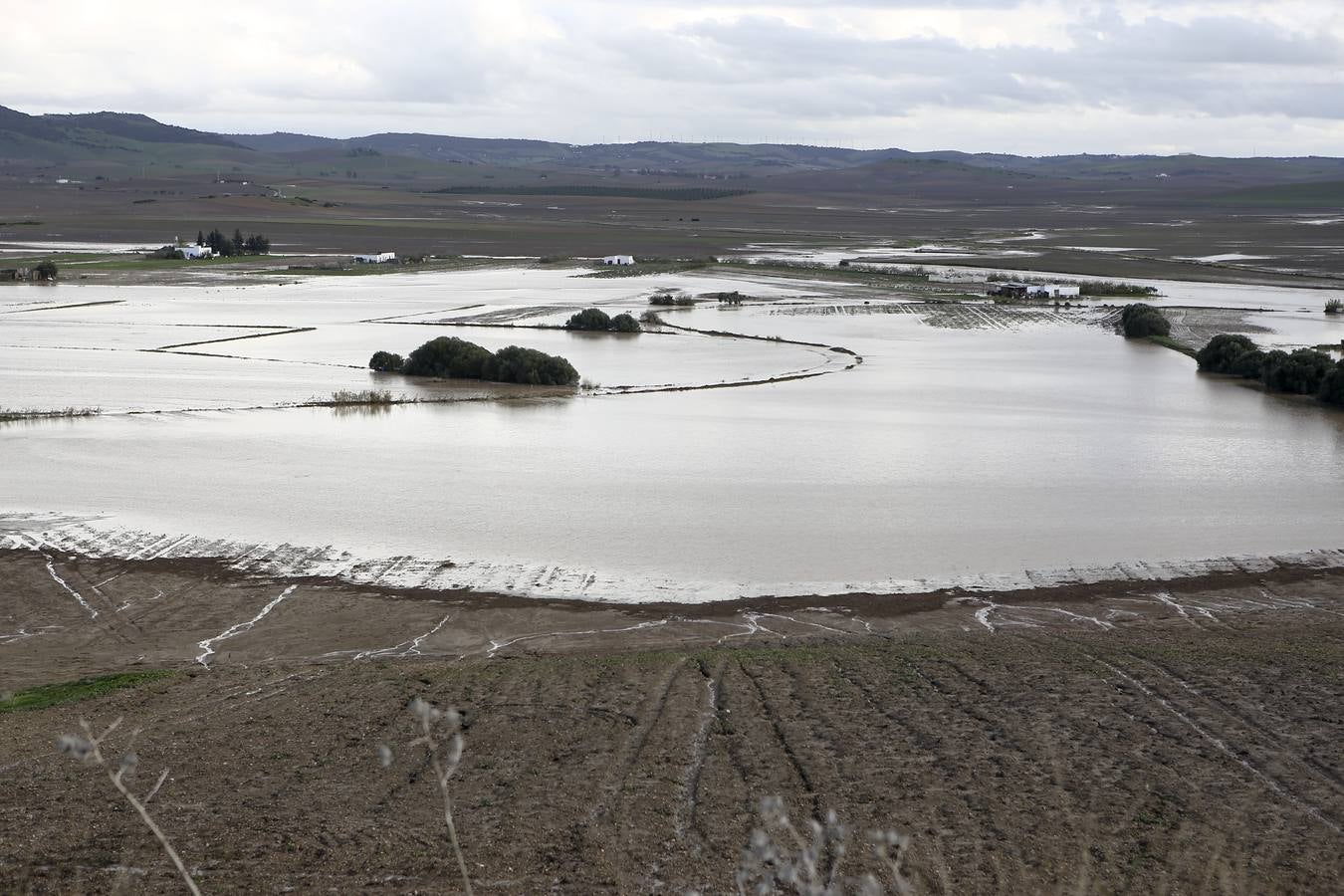 La lluvia inunda las zonas rurales de La Janda