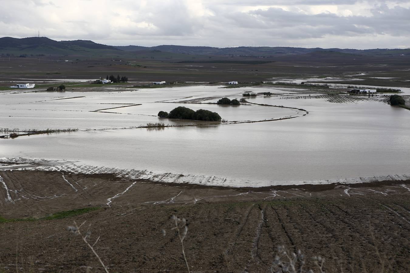 La lluvia inunda las zonas rurales de La Janda