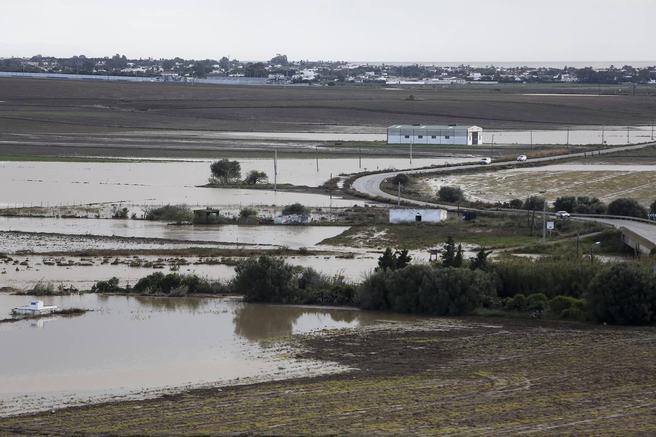 La lluvia inunda las zonas rurales de La Janda