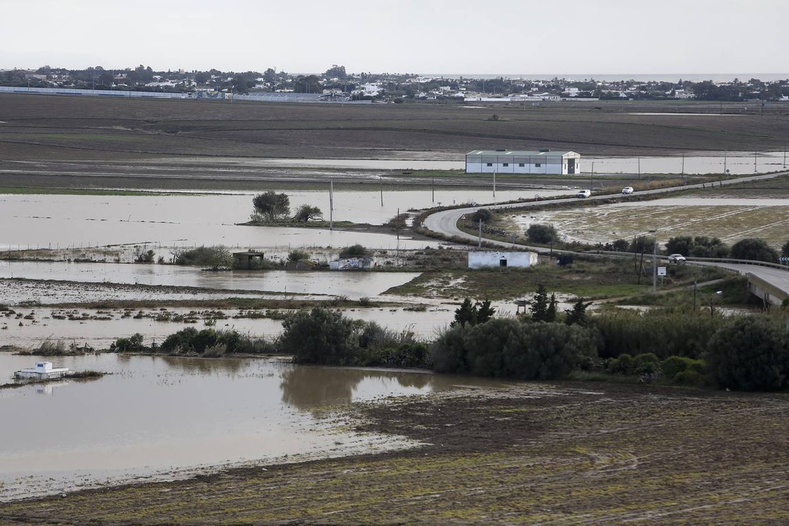 La lluvia inunda las zonas rurales de La Janda