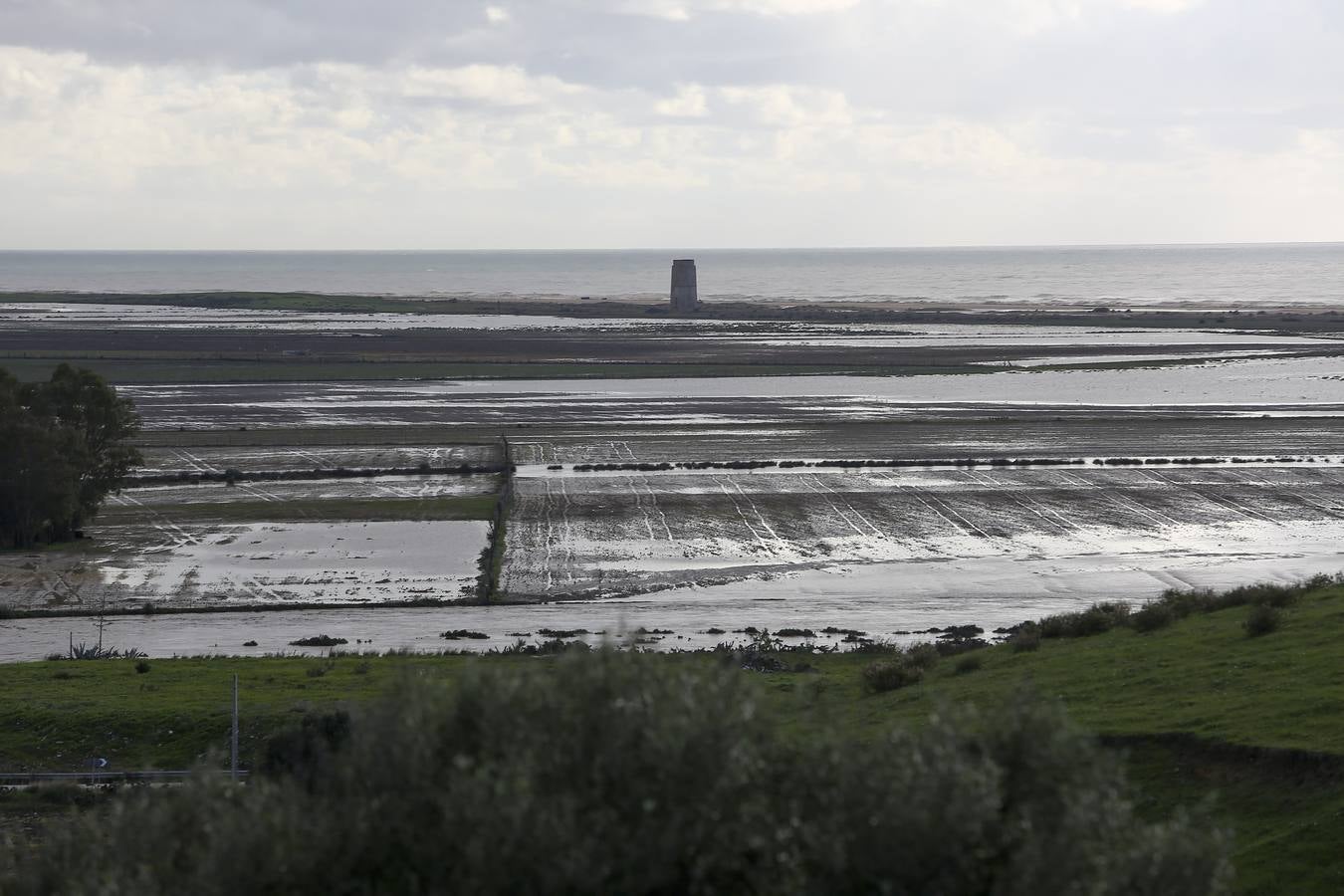 La lluvia inunda las zonas rurales de La Janda