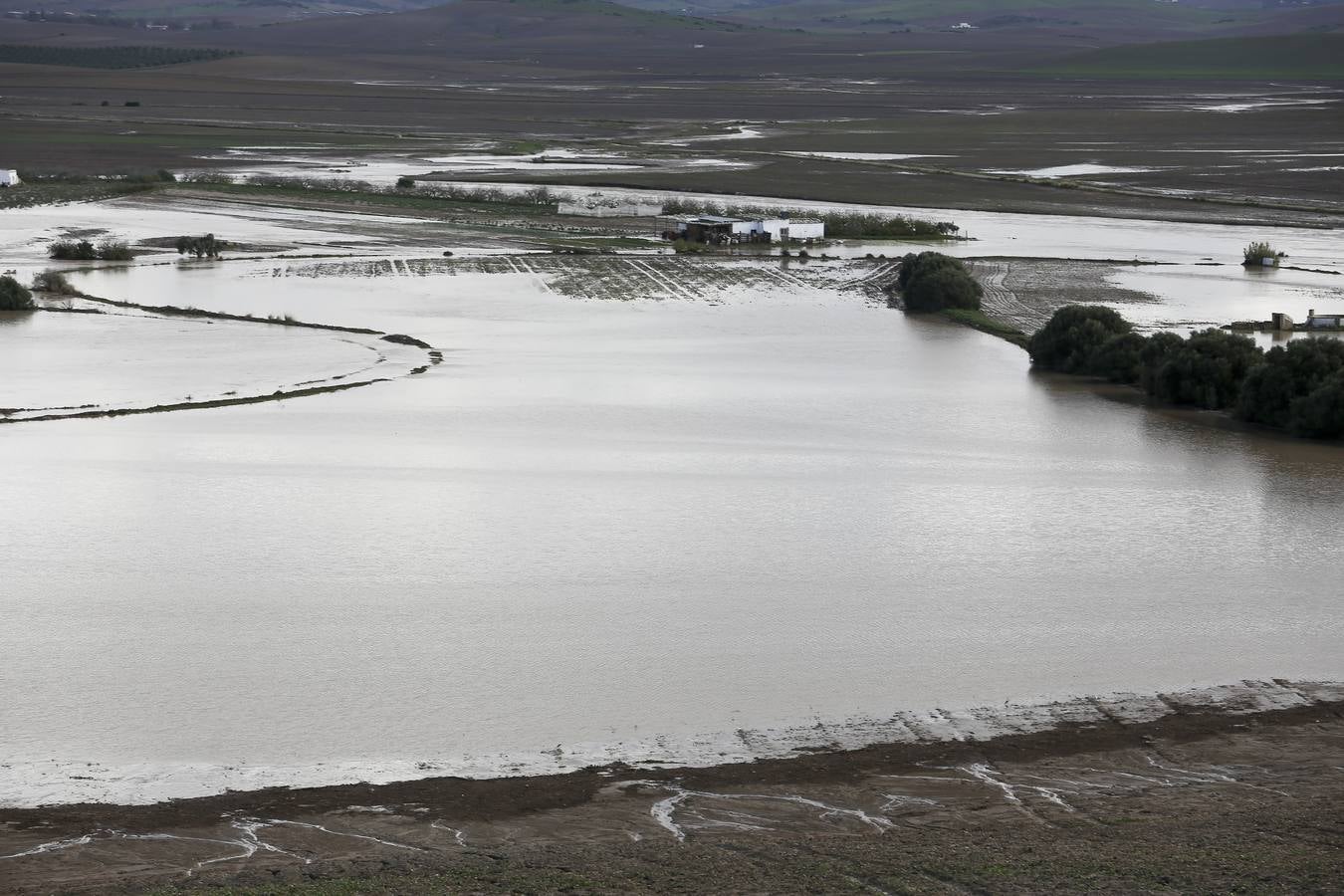 La lluvia inunda las zonas rurales de La Janda