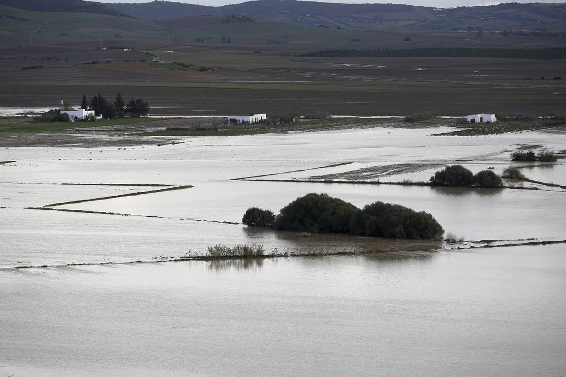 La lluvia inunda las zonas rurales de La Janda