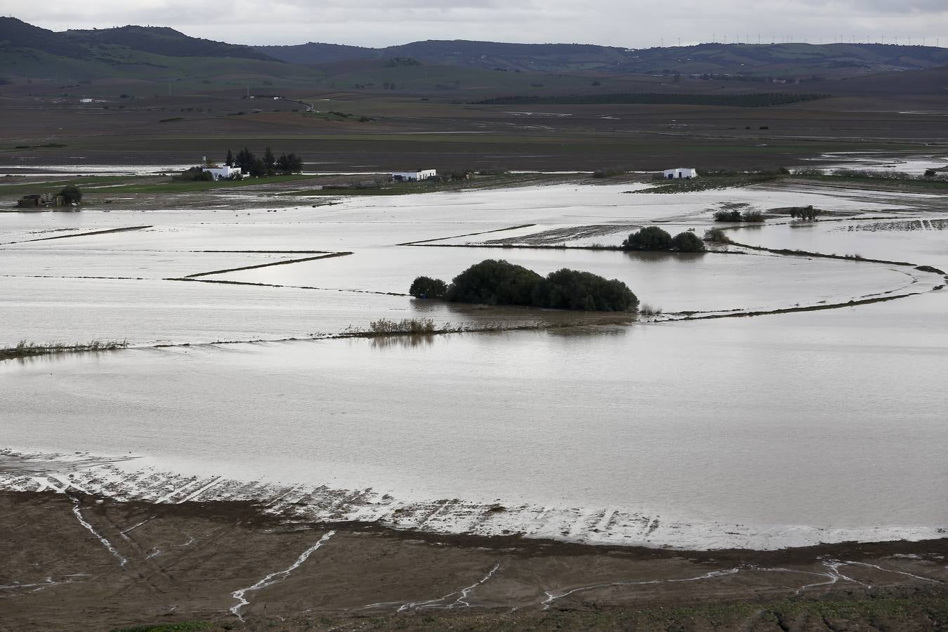 La lluvia inunda las zonas rurales de La Janda