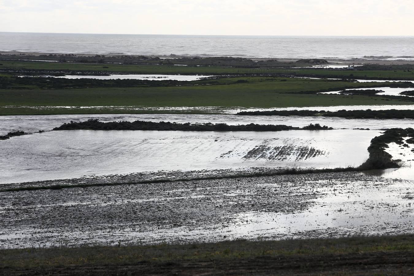 La lluvia inunda las zonas rurales de La Janda