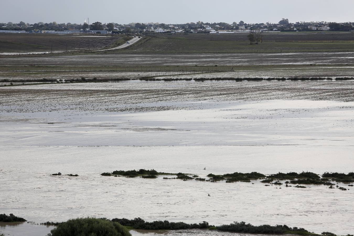 La lluvia inunda las zonas rurales de La Janda