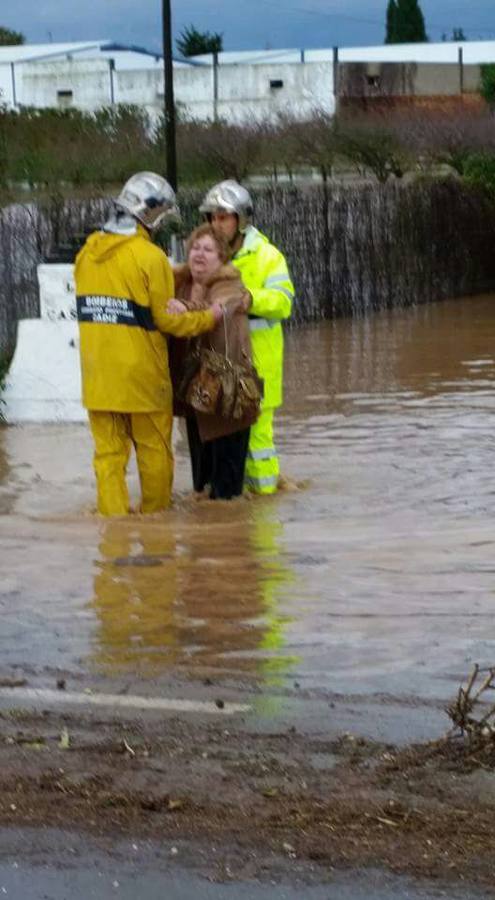 La lluvia inunda las zonas rurales de La Janda