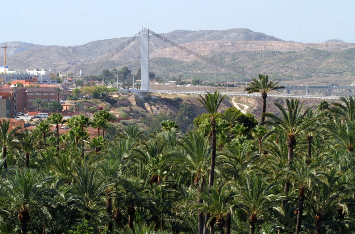 Palmeral de Elche. 