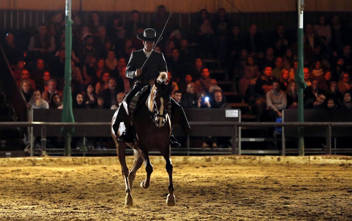 El arranque de la Navidad en Córdoba, en imágenes