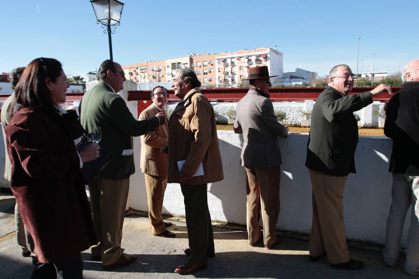 Caballos hispano-árabes en la Venta de Antequera