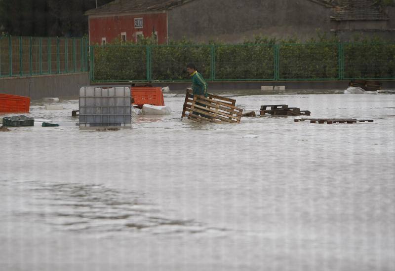 Un trabajador de una empresa hortofrutícola aislada por el fuerte temporal que ha provocado la crecida del río Segura, retira algunos palets en el interior de la empresa ubicada en la localidad alicantina de Redován. 