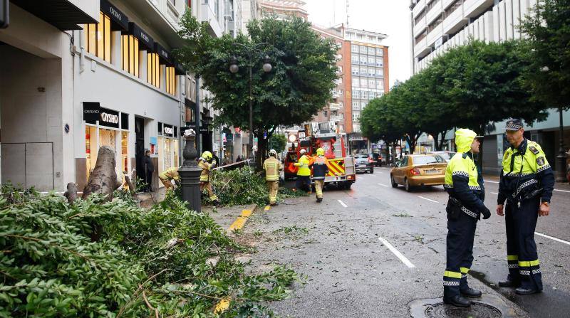 Los bomberos retiran los resto de un árbol en la ciudad de Valencia. 