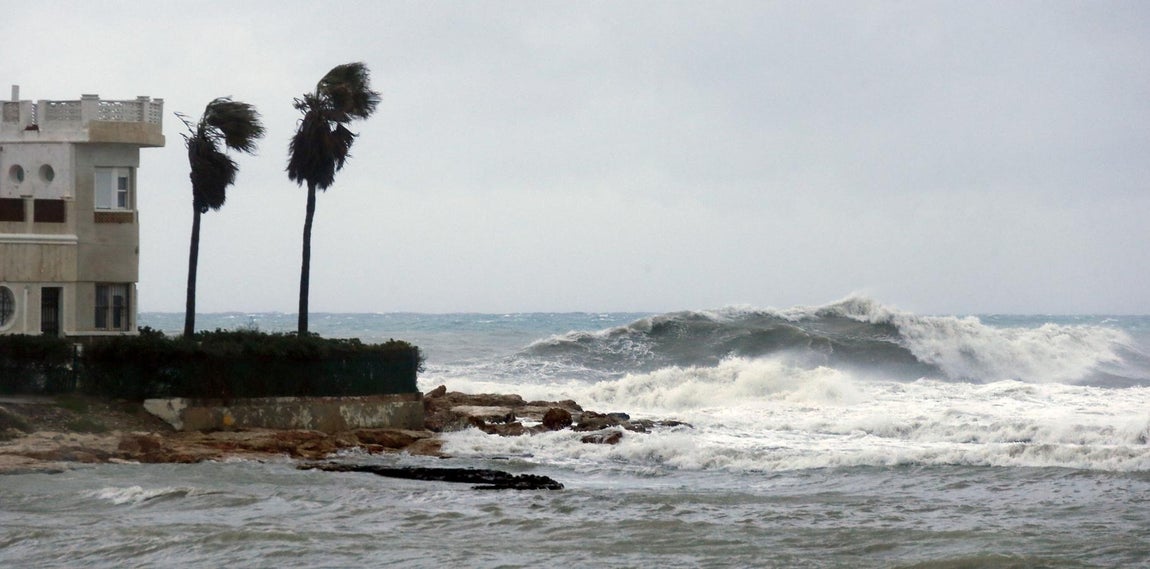 Paseo marítimo en Torrevieja. 