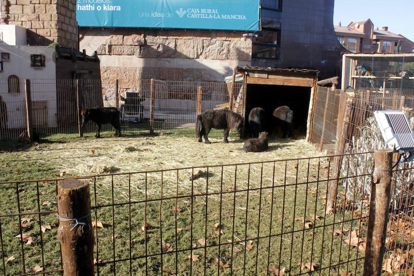 Caja Rural abre su belén con más de 70 animales