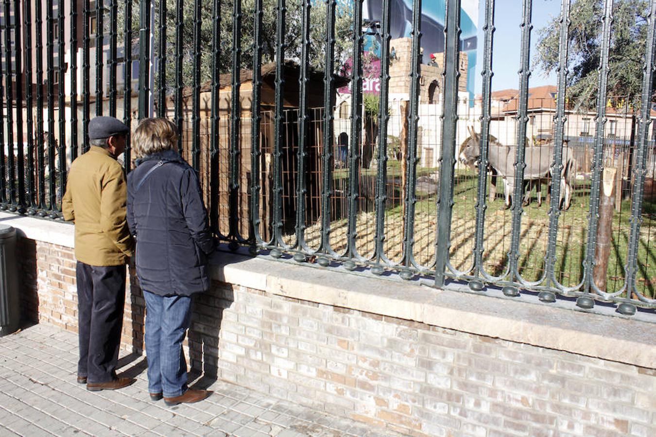 Caja Rural abre su belén con más de 70 animales