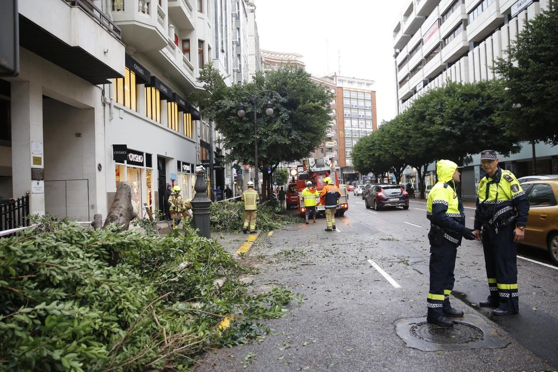 Calle Colón, Valencia. 