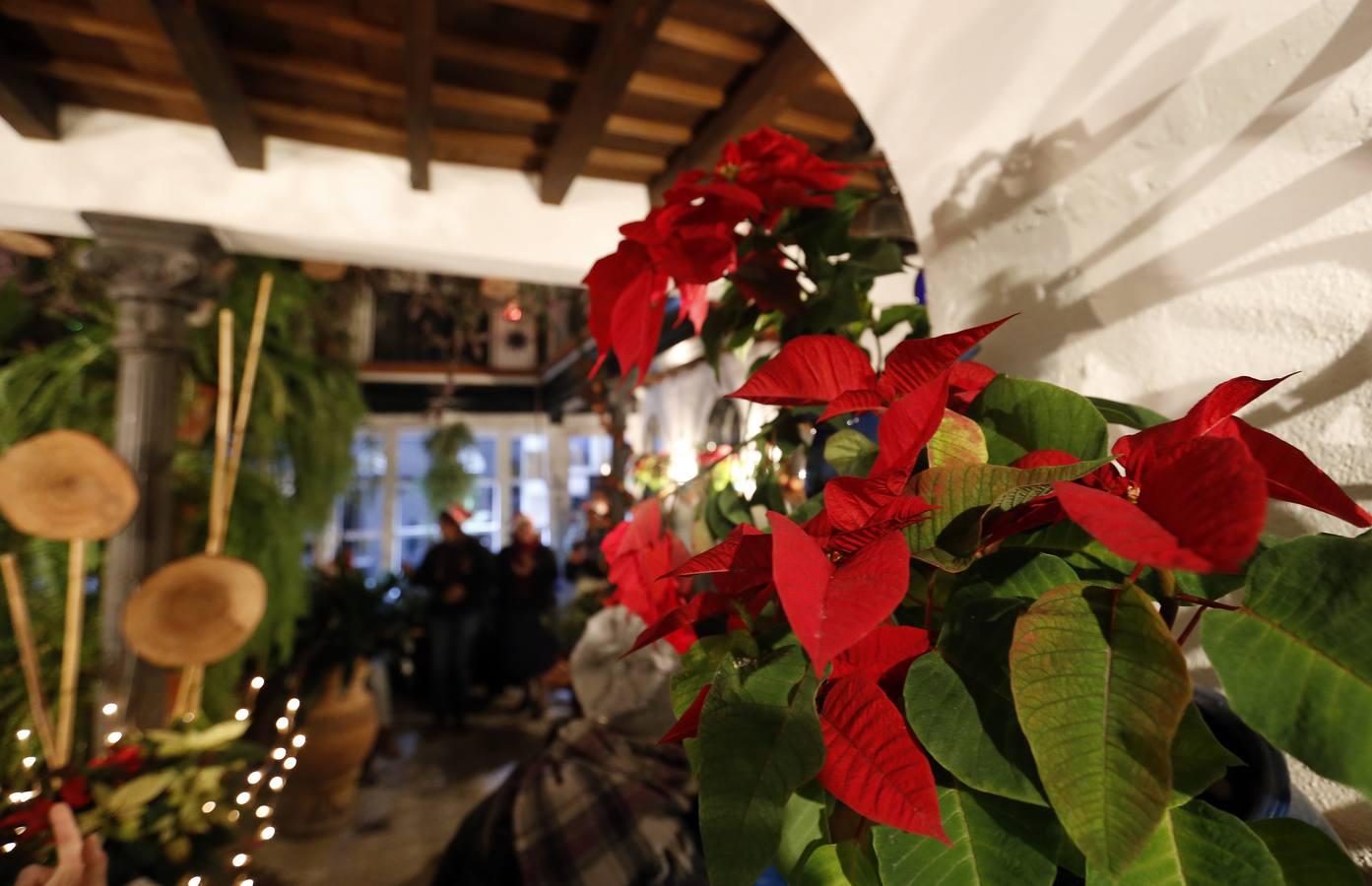 La Navidad en los Patios, en imágenes