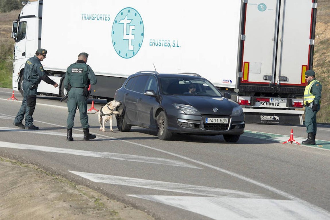 Usecic, seguridad con pies de plomo