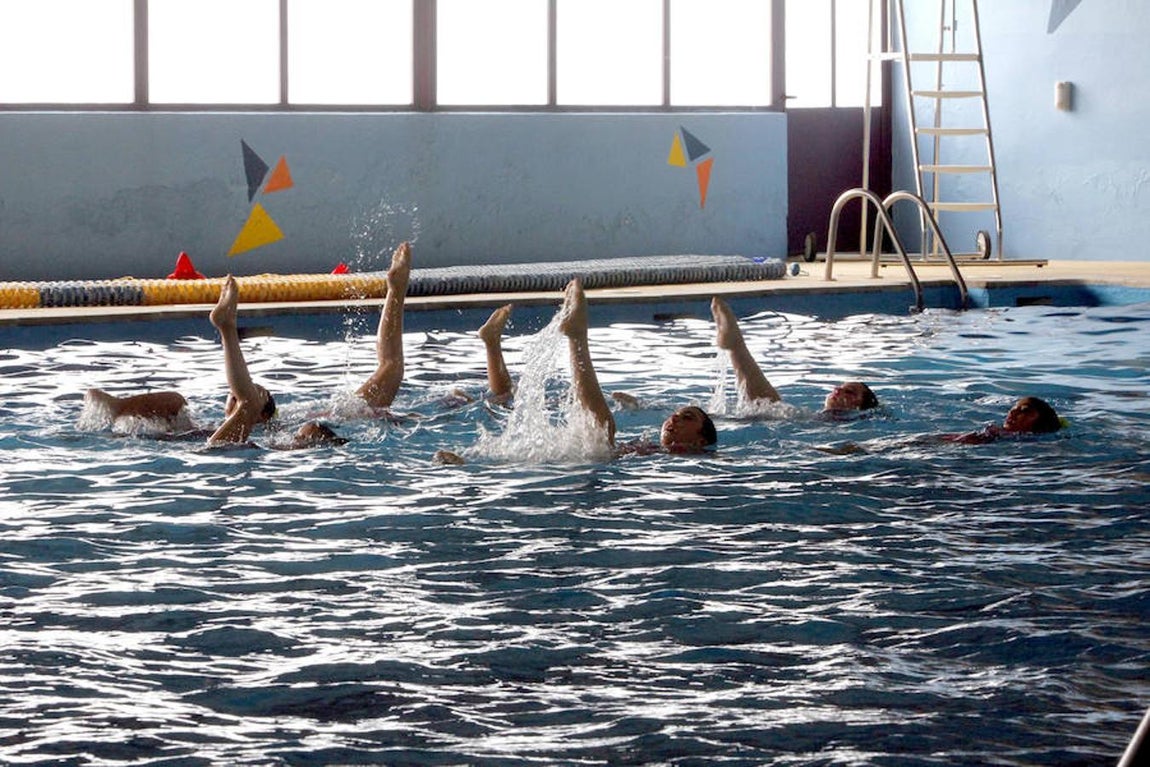 Natación sincronizada en Toledo, en imágenes