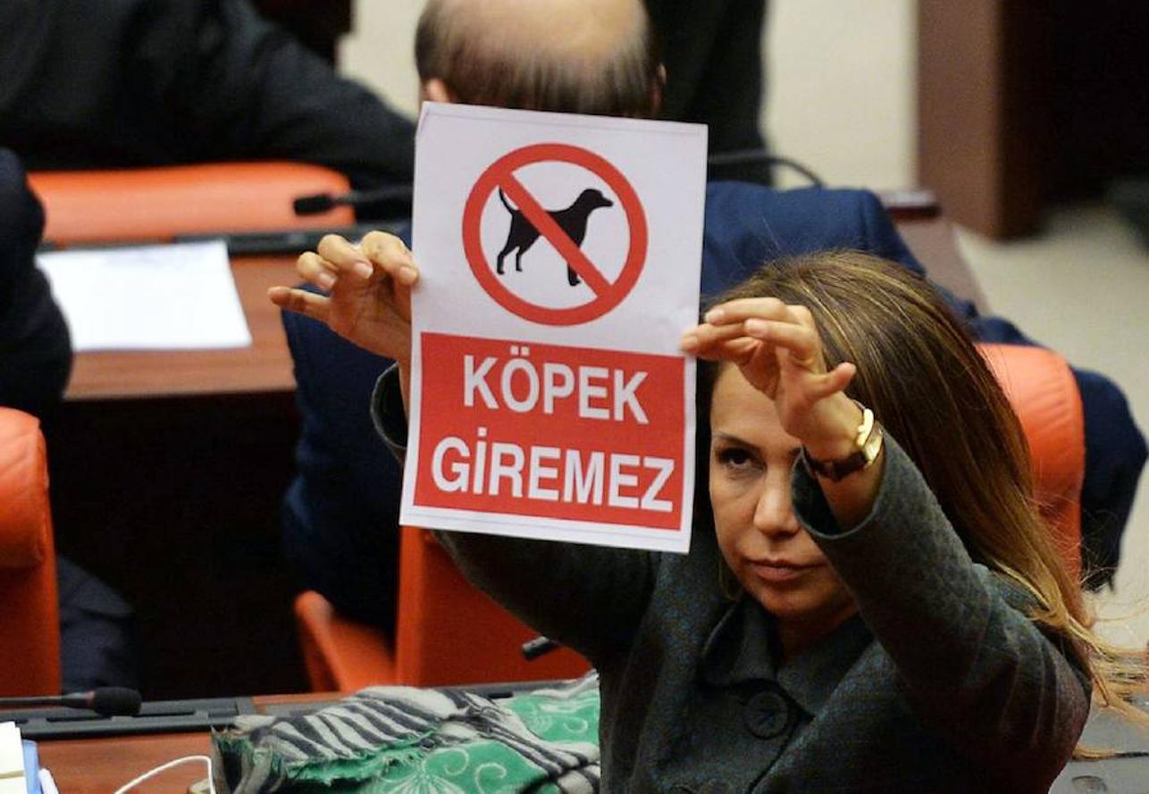 La parlamentaria Gokcen Enc, del partido islamista en el Gobierno AKP, muestra un cartel en el que se lee, «No se admiten perros», en protesta por el mordisco que recibió un miembro de su formación por parte de un diputado opositor, durante el debate sobre la propuesta de cambios constitucionales este jueves en Turquía. 