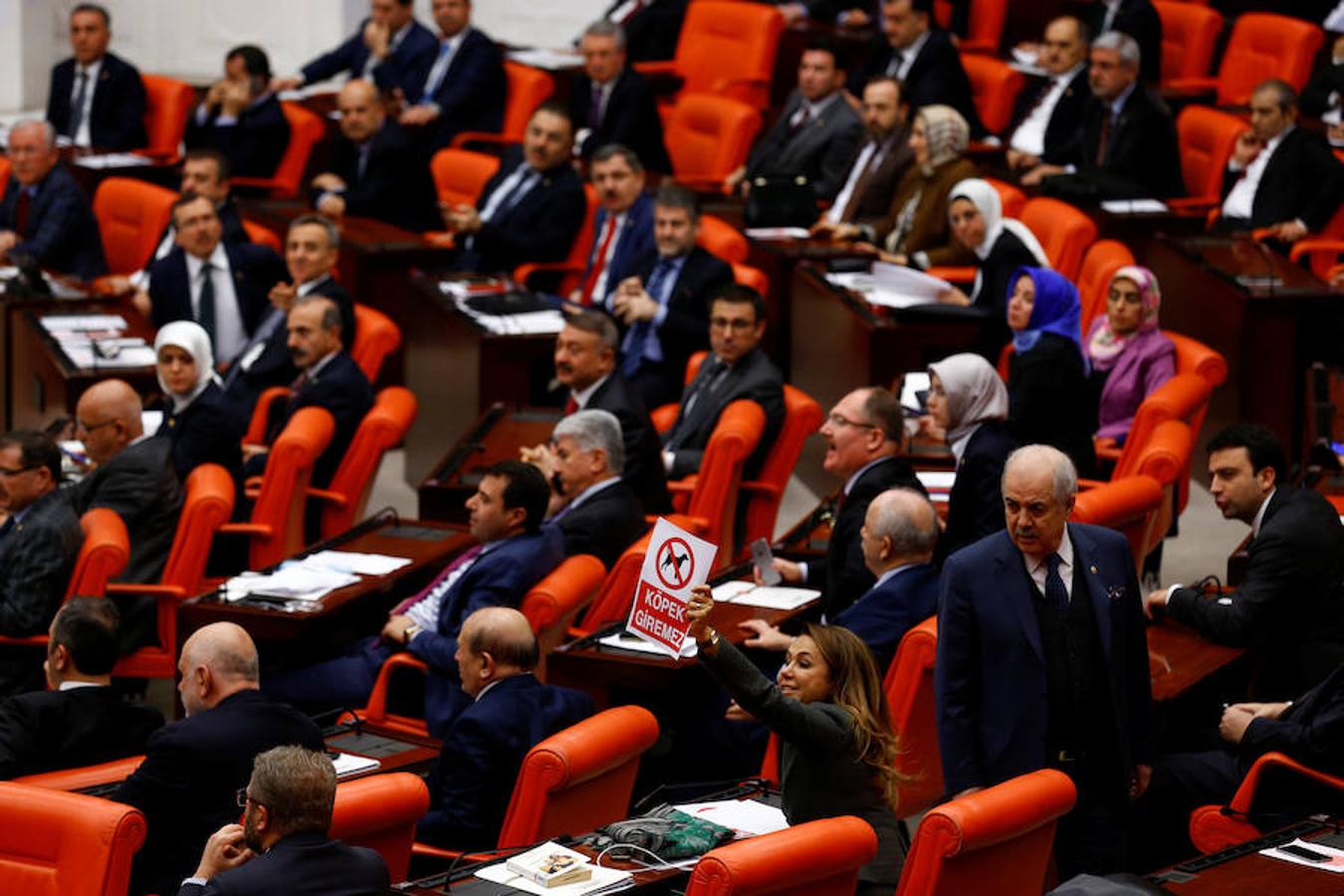 La diputada Gokcen Enc, del partido islamista en el Gobierno AKP, muestra un cartel en el que se lee, «No se admiten perros», en protesta por el mordisco que recibió un miembro de su formación por parte de un diputado opositor, durante el debate sobre la propuesta de cambios constitucionales, este jueves en Ankara (Turquía). 