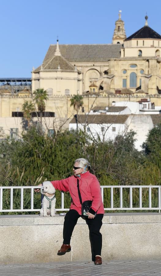 El frío que están pasando los cordobeses, en imágenes