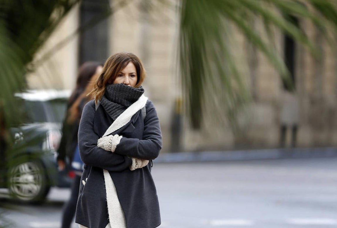 Rachas de viento de 100 km/hora convierten la ola de frío en una pesadilla