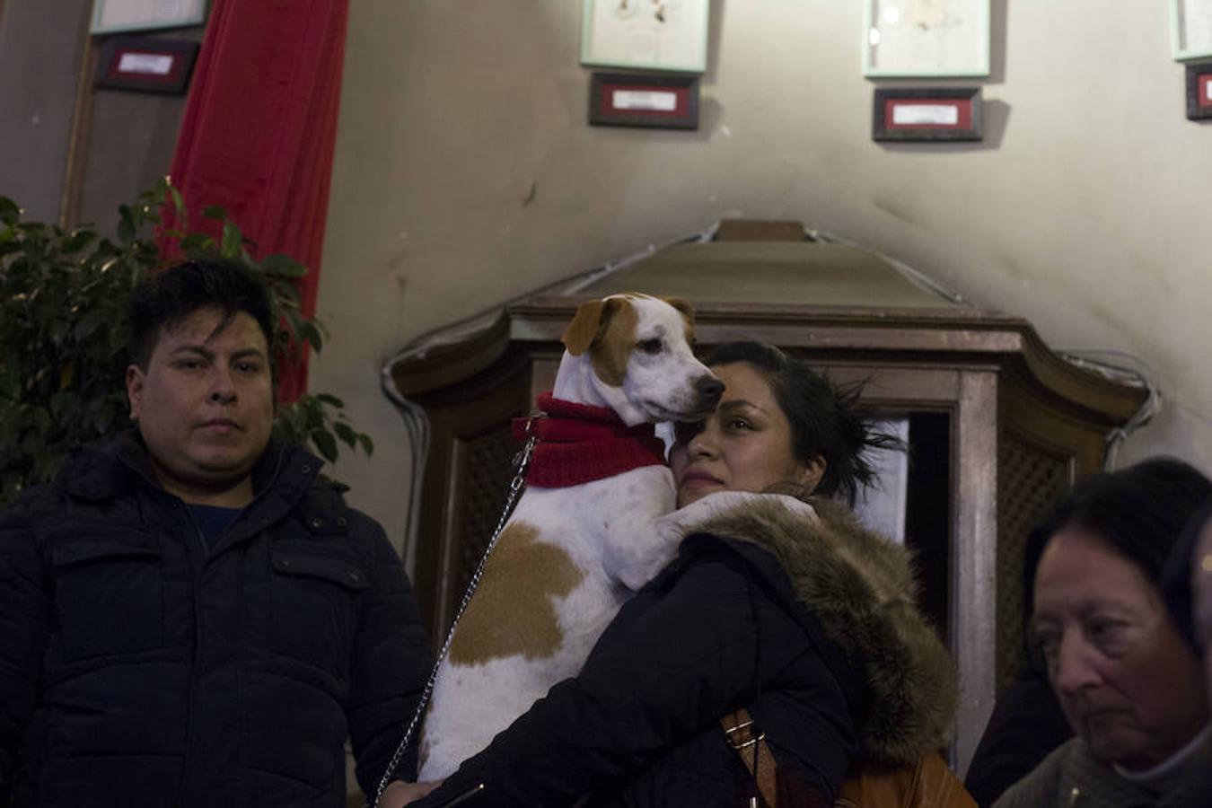 10. Vueltas de San Antón en el barrio madrileño de Chueca