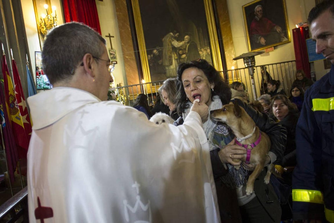 11. Vueltas de San Antón en el barrio madrileño de Chueca