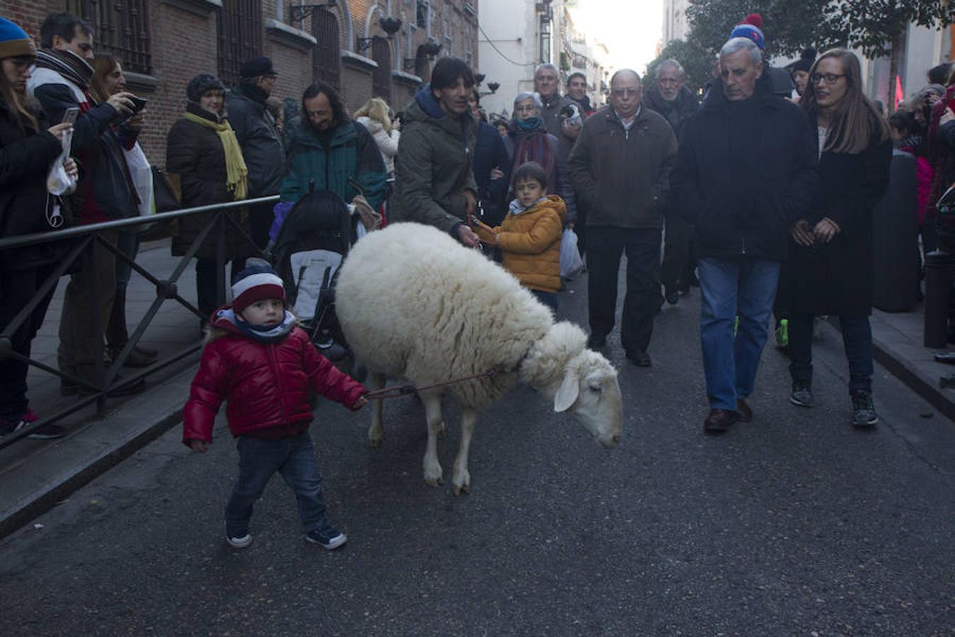 5. Vueltas de San Antón en el barrio madrileño de Chueca