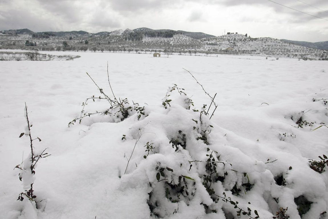 Las imágenes más impactantes de la ola de frío. Un denso manto blanco ha cubierto el interior de la povincia de Alicante (Benassau)