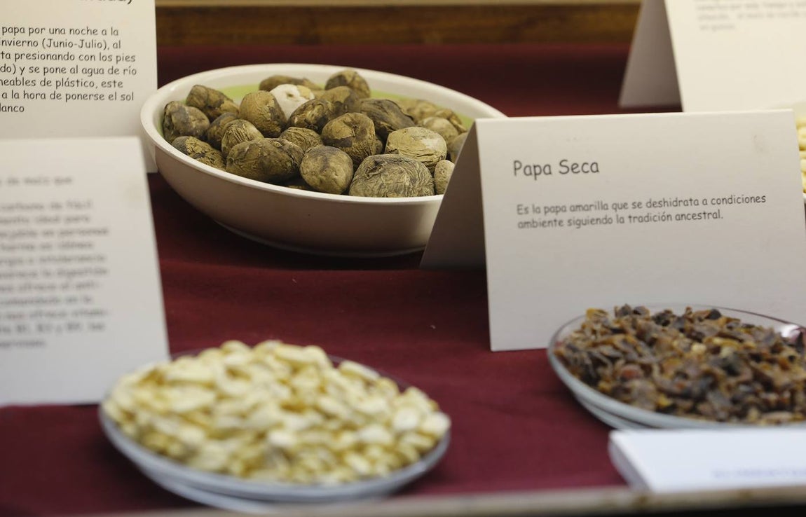 La casa de Inca Garcilaso, en imágenes