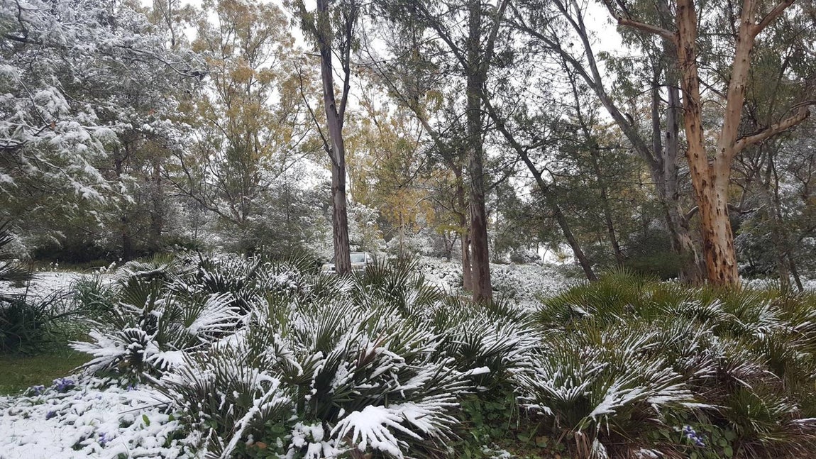 Montellano (Sierra de San Pablo)