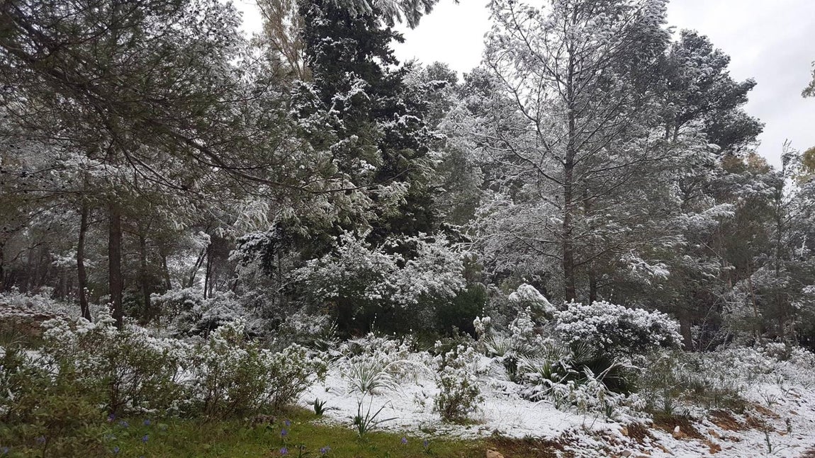 Montellano (Sierra de San Pablo)