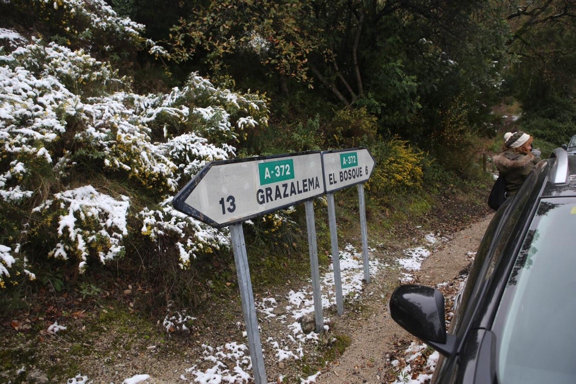 La nieve cubre de un manto blanco la Sierra de Cádiz