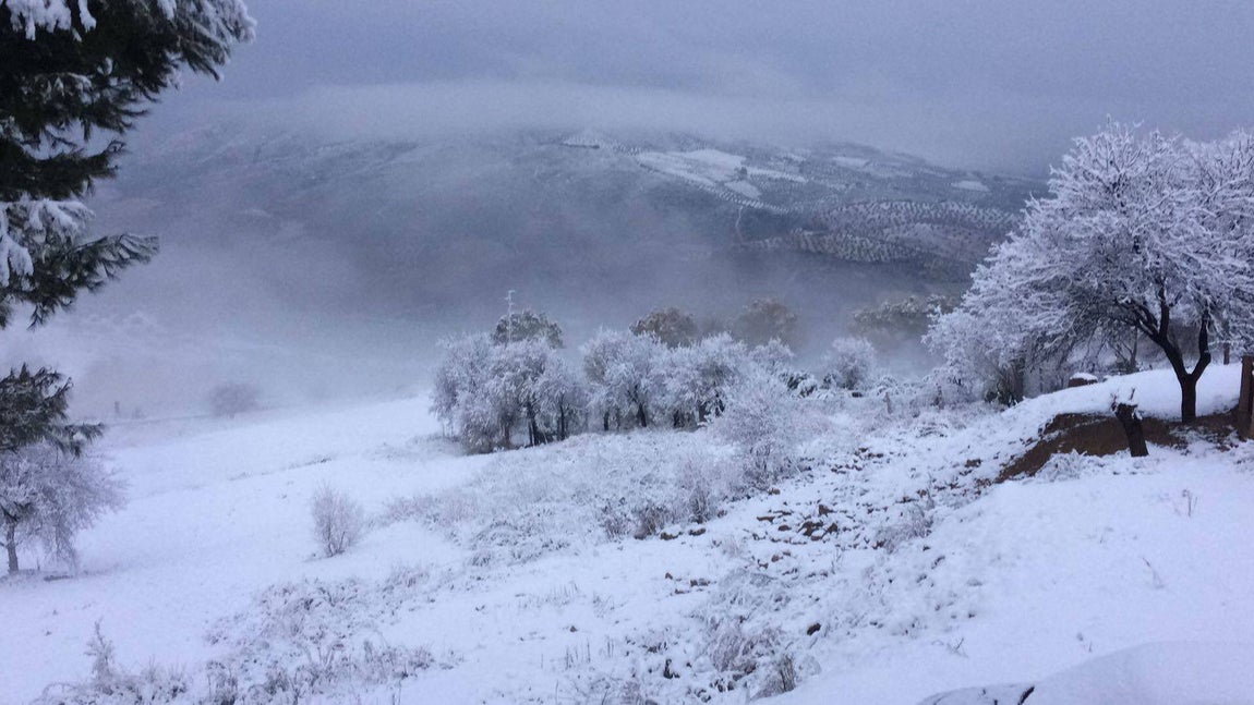 La nieve cubre de un manto blanco la Sierra de Cádiz