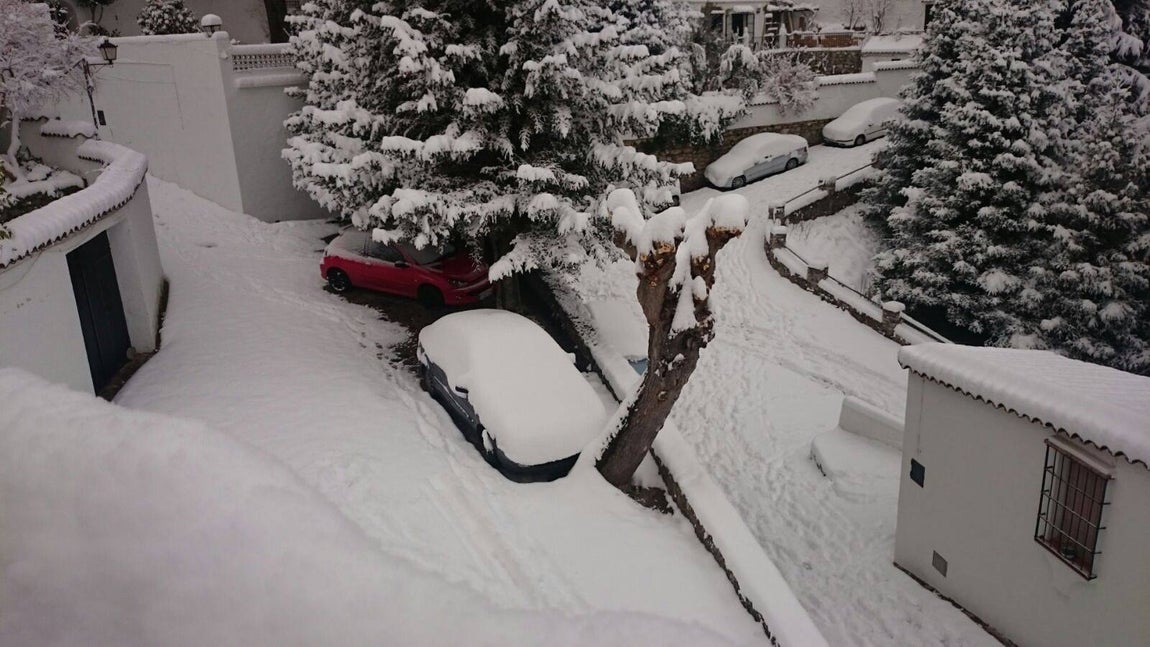 La nieve cubre de un manto blanco la Sierra de Cádiz