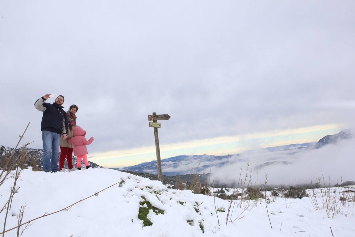 La nieve cubre de un manto blanco la Sierra de Cádiz