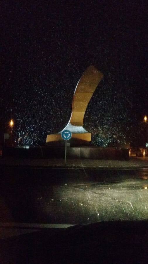 La nieve cubre de un manto blanco la Sierra de Cádiz