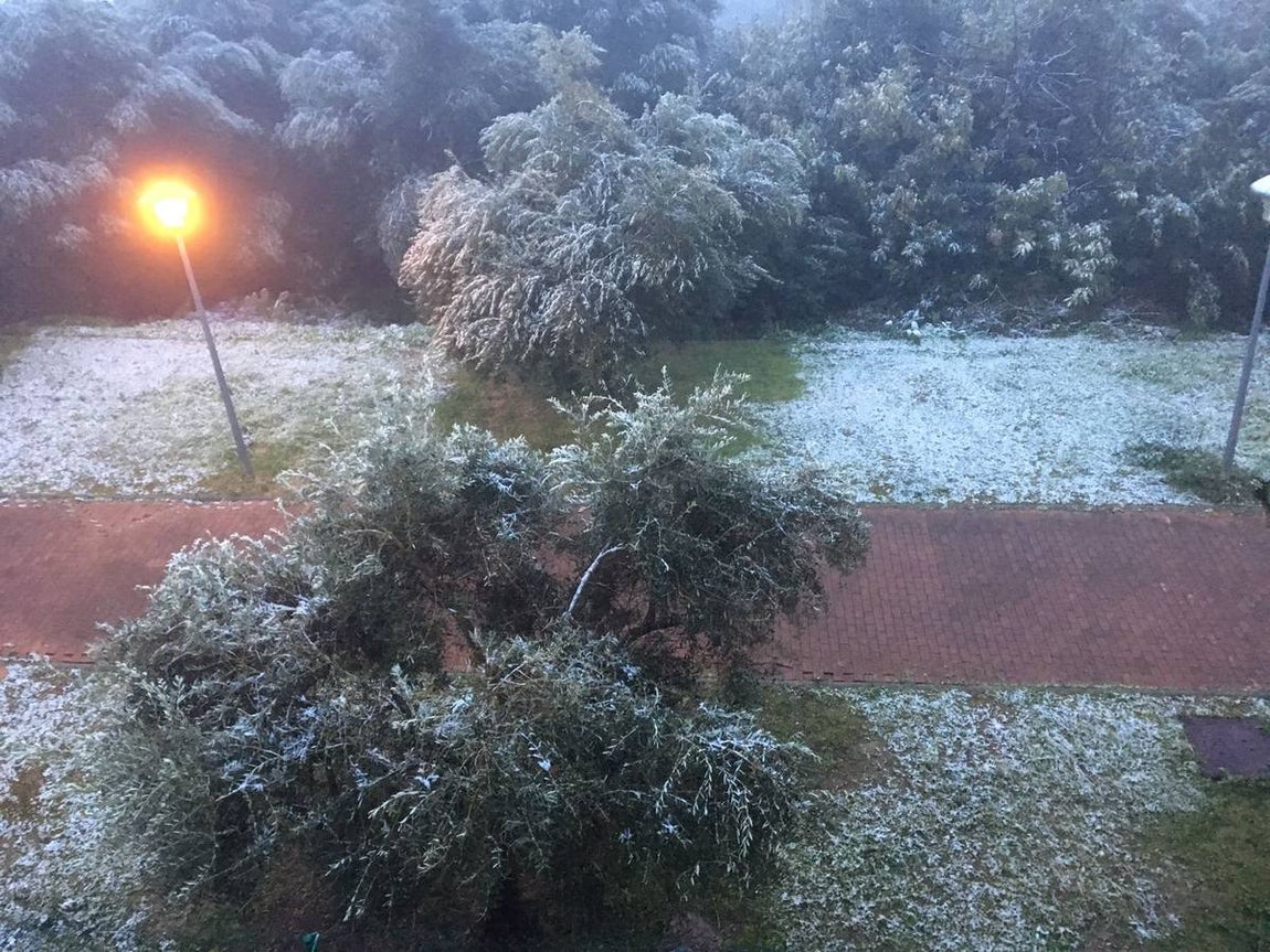 La nieve cubre de un manto blanco la Sierra de Cádiz
