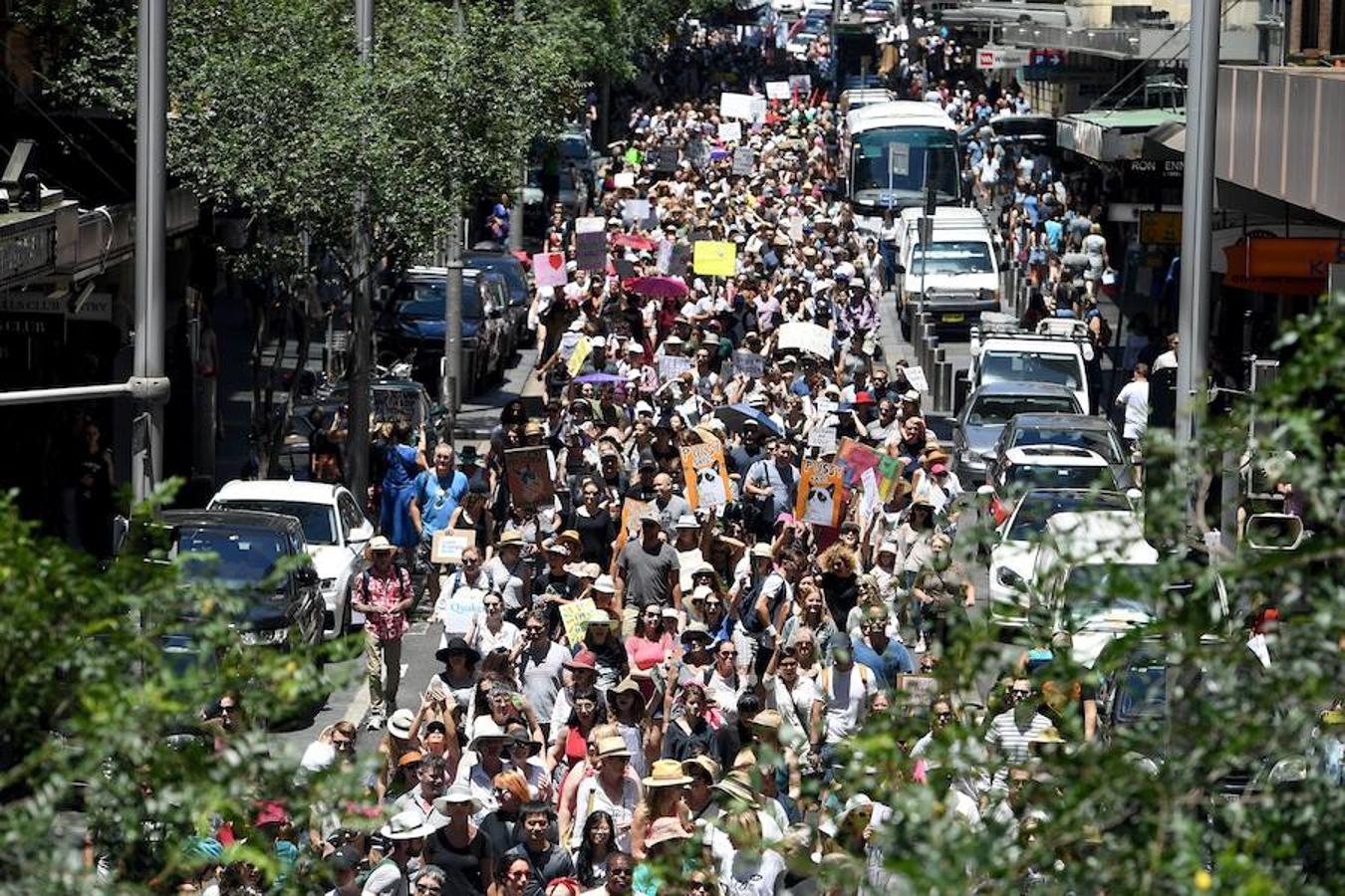 La marcha de mujeres contra Trump llena las calles de Sydney.. 