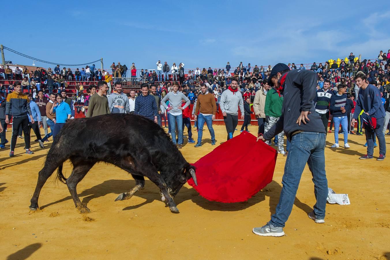 Chupinazo en La Puebla del Río en honor de San Sebastián