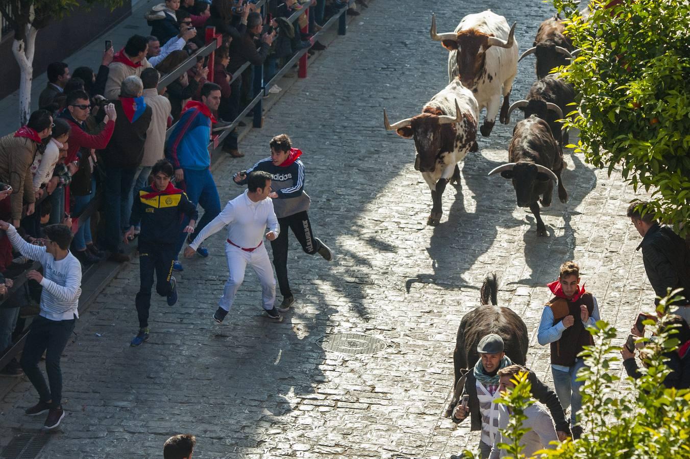 Chupinazo en La Puebla del Río en honor de San Sebastián