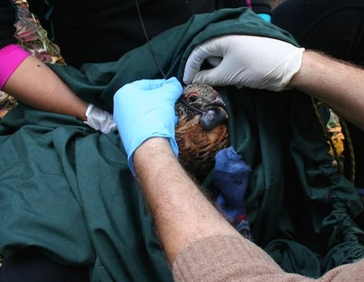 Creación de empleo y participación ciudadana. En concreto, se han creado 20 puestos de trabajo y más de un centenar de personas han participado en el proyecto durante los seis años de ejecución.