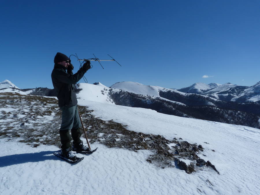 Mayor conocimiento de la especie y educación ambiental. Más de 2.000 escolares han participado en la campaña educativa del proyecto. Asimismo, la exposición itinerante ha alcanzado los 120.000 visitantes en las 50 localidades que ha recorrido.