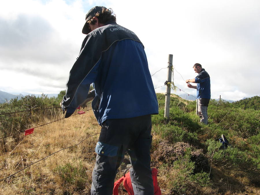 Implicación social e impulso de usos tradicionales. El programa de custodia del territorio del LIFE+ Urogallo cantábrico ha conseguido implicar a Juntas Vecinales, guardas forestales, apicultores, ganaderos, cazadores, jóvenes emprendedores, ONG y habitantes del medio rural. El esfuerzo de todos ellos ha permitido el desarrollo de 19 proyectos, a través de 29 acuerdos de colaboración.
