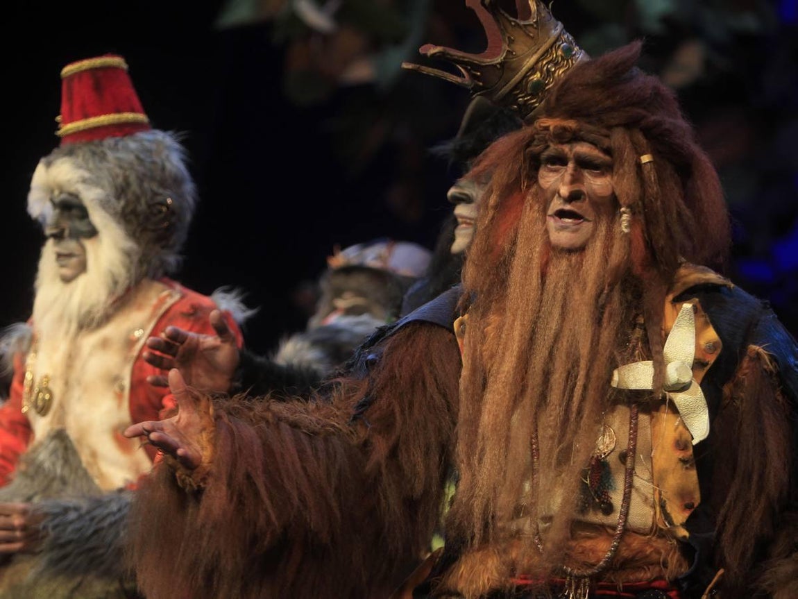 Fotos: Comparsa Los irracionales